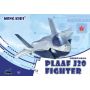 PLAAF J20 Fighter
