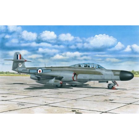 A.W. Meteor NF MK.12 1/72