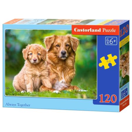 Always Together Puzzle 120