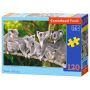 Family of Koalas Puzzle 120