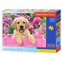 Labrador Puppy in Pink BoxPuzzele 300 T