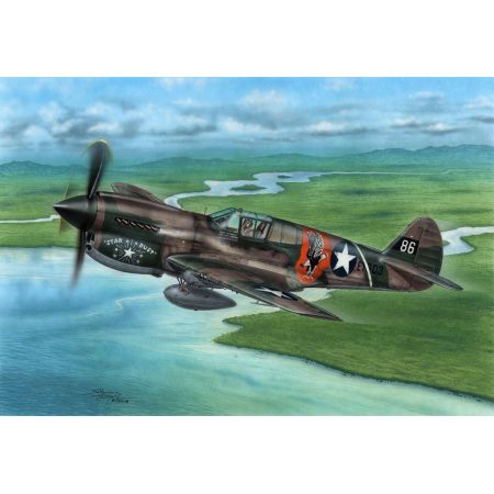 P-40E Warhawk Claws and Teeth 1/72