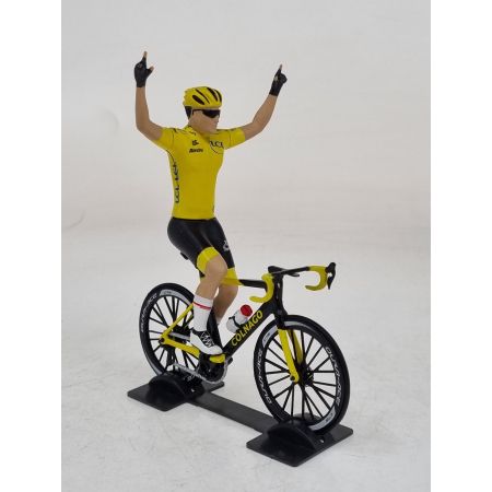 Vainqueur du Tour de France - Maillot jaune