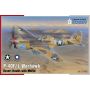 SPECIAL HOBBY 72493 MAQUETTE AVION P-40F/L WARHAWK ‘DESERT HAWKS WITH MERLIN’ 1/72