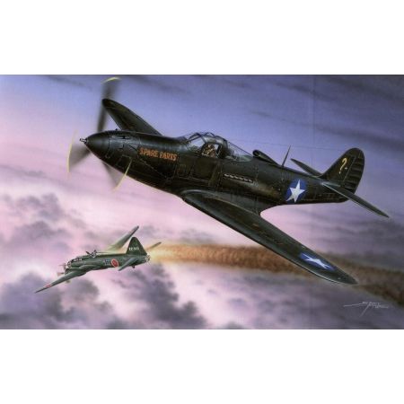 P-39Q "MAKIN AIRACOBRAS" HI-TECH 1/32