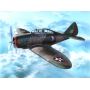 SPECIAL HOBBY 72262 MAQUETTE AVION P-35 "WAR GAMES AND WAR TRAINING" 1/72