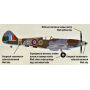 ARK MODELS 72012 SUPERMARINE SPITFIRE MK.XIV BRITISH FIGHLER VS. V-1 GERMAN FLYING BOMB 1/72